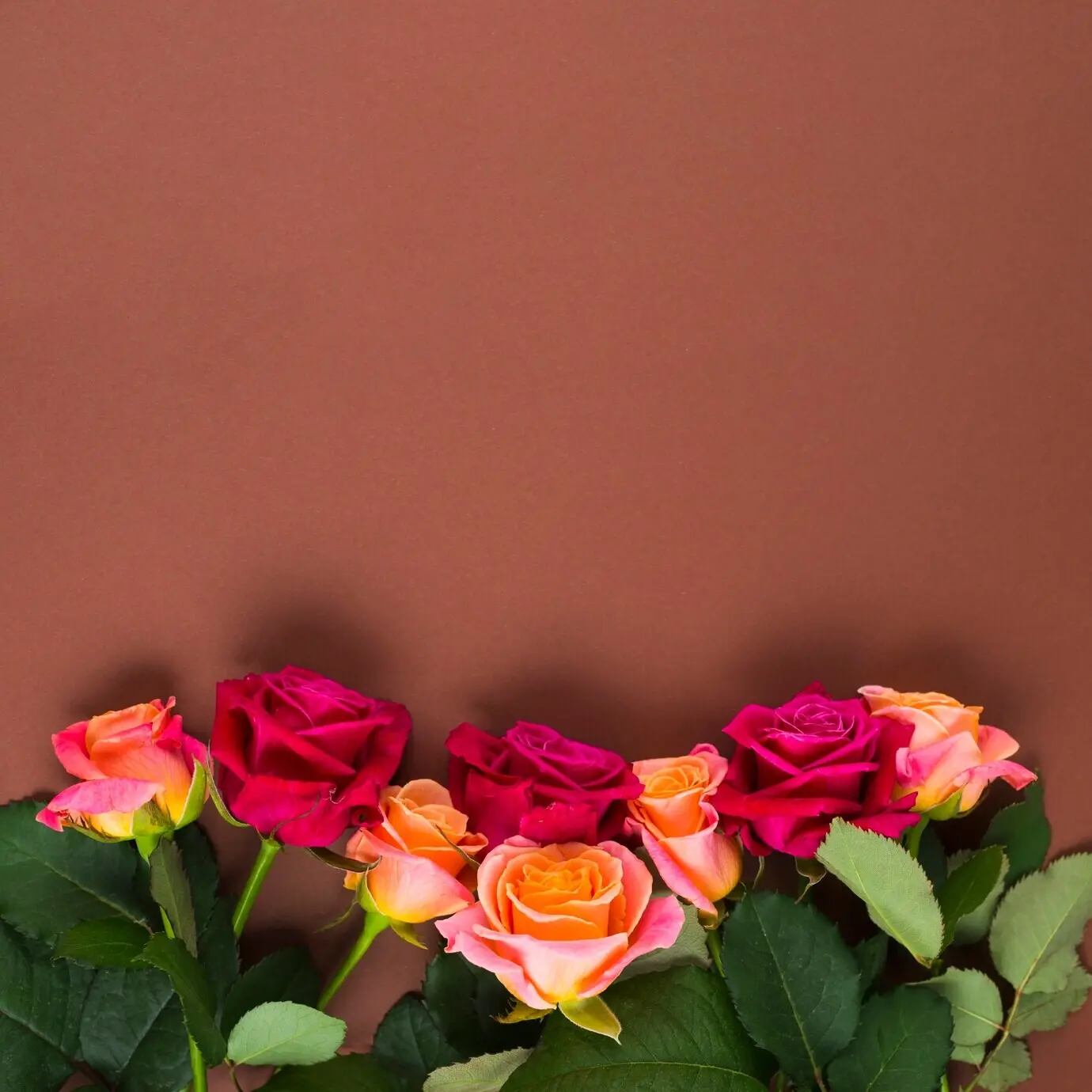 Vividly coloured floral composition